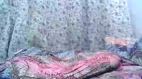 Josh online show from April 10, 11:12 pm