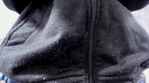 Bruce Hans online show from September 17, 12:06 pm