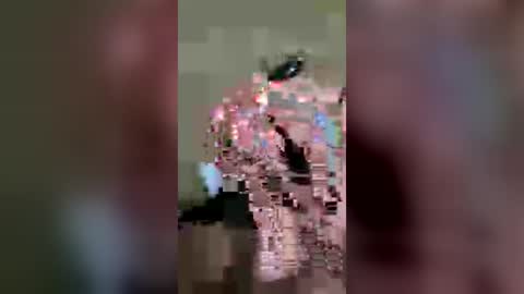 brucey377485 online show from August 3, 3:38 am