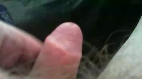 bullemoe online show from November 2, 11:25 am