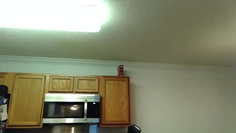 c0sta19 online show from April 18, 1:07 am