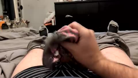 Daddy online show from November 6, 12:02 am