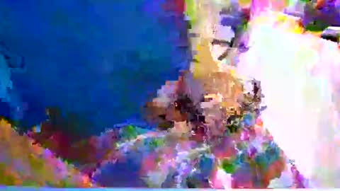 Snapshot of canon4ps4 chatting on January 8, 10:15 am canon4ps4 online show from January 8, 10:15 am