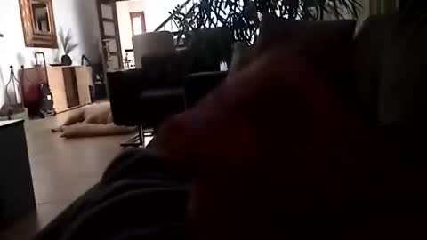 carlitito1 online show from November 23, 7:08 am