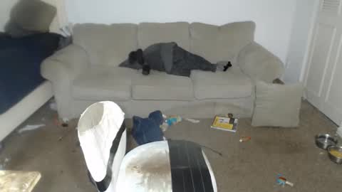 CasinoCam online show from December 21, 6:34 pm