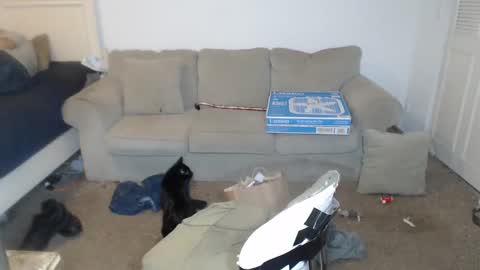 CasinoCam online show from December 31, 6:37 am