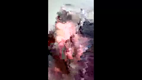 Castor troyyyyy online show from March 22, 6:24 pm