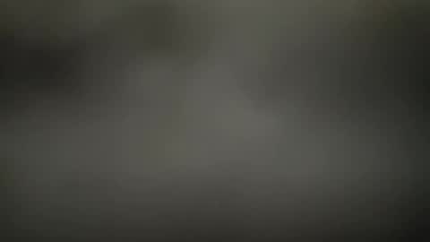 Todo online show from May 3, 8:28 am