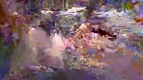 Devil1nside online show from September 10, 11:31 am