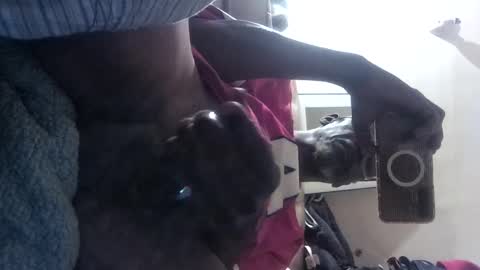 chalet49 online show from September 15, 5:42 am