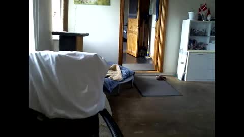 chefben666 online show from April 9, 3:29 pm