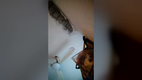 cholulart online show from July 20, 1:01 am