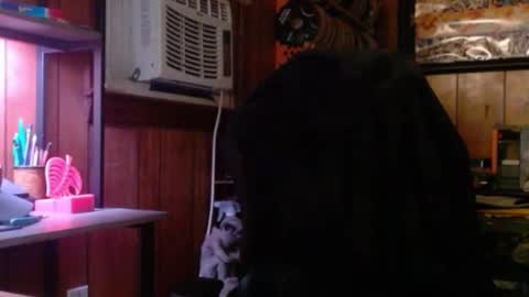 Nelson or ComicKing and sometime Peachy143 online show from February 11, 2:27 am