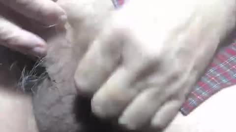 coopinthesouth54 online show from January 13, 8:48 pm