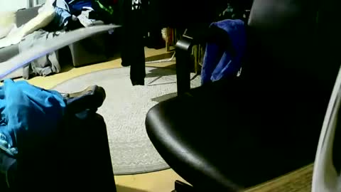 coyote017 online show from January 27, 4:11 pm