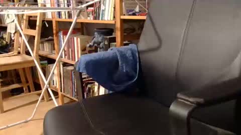 coyote017 online show from March 21, 4:22 pm