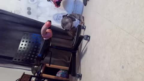 drbucknaked online show from October 29, 6:16 am