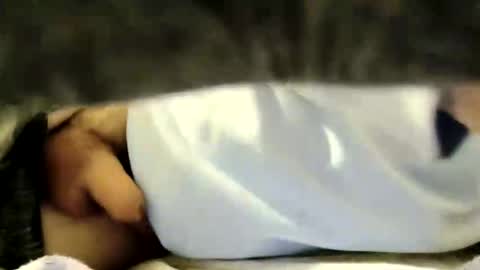 curiousbruno online show from April 21, 4:29 am