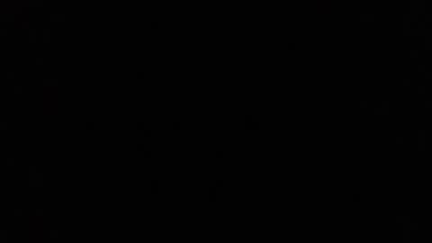 Ray Stevens Jr online show from December 23, 9:16 am