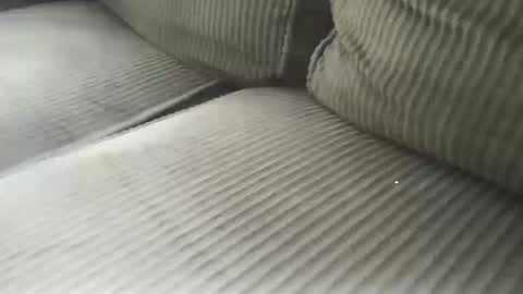 Snapshot of dadsblk chatting on October 12, 9:53 pm D online show from October 12, 9:53 pm