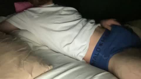 dailybully online show from February 28, 11:04 pm