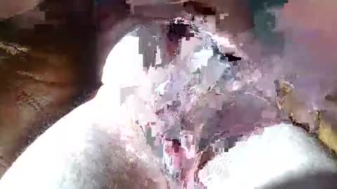 dalamud48 online show from March 27, 9:21 am