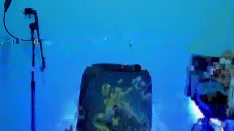 Damian torner online show from April 16, 10:26 am