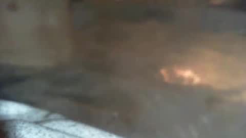 dankz4two0 online show from December 21, 8:00 am