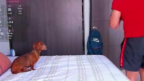 danyfitguy_ online show from November 9, 5:06 pm