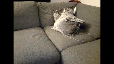 Hungdaddy online show from January 3, 8:11 pm