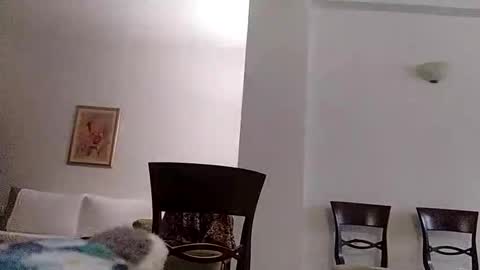 dutty boi online show from November 8, 2:59 am