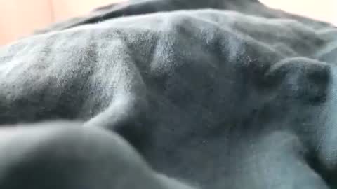 Snapshot of davdao3 chatting on February 16, 1:27 pm davdao3 online show from February 16, 1:27 pm