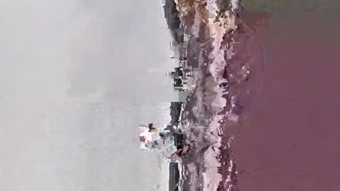 david1982yesyes online show from May 19, 7:36 am