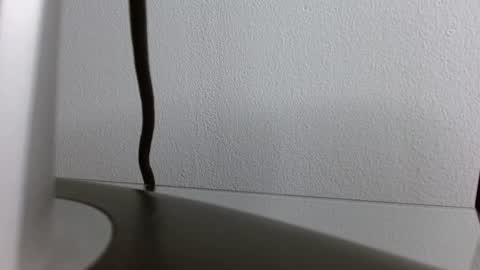 davoxer online show from November 22, 4:01 am