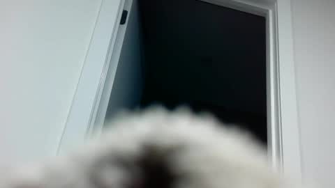 Snapshot of davyd11 chatting on September 18, 4:31 pm Davvyd online show from September 18, 4:31 pm