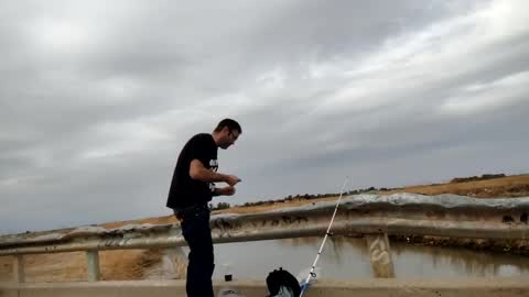 dbfroge online show from October 13, 11:22 pm