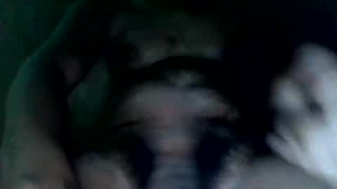 Snapshot of dcockzilla chatting on October 21, 11:07 pm dcockzilla online show from October 21, 11:07 pm