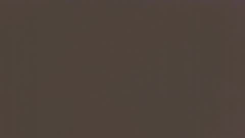 Snapshot of desiboi9 chatting on September 26, 12:19 am desiboi9 online show from September 26, 12:19 am