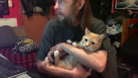 desolation2012 online show from February 6, 9:06 pm