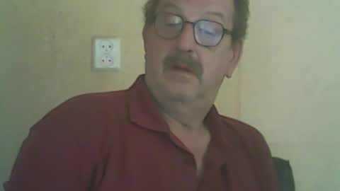 destelp online show from September 14, 12:07 pm