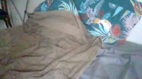 dexterwatchme online show from January 15, 11:14 am