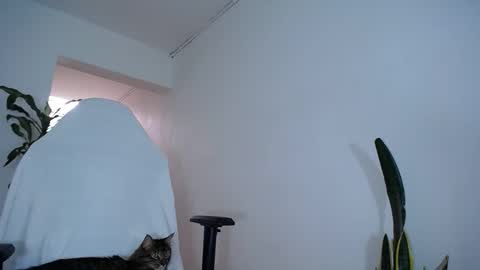 MaSSimo online show from December 12, 3:27 pm