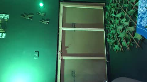 DICAPRIO online show from November 11, 2:05 am