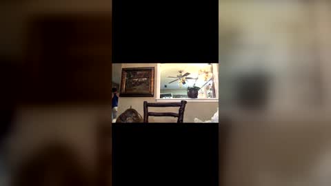 diegodavids online show from January 12, 10:58 pm