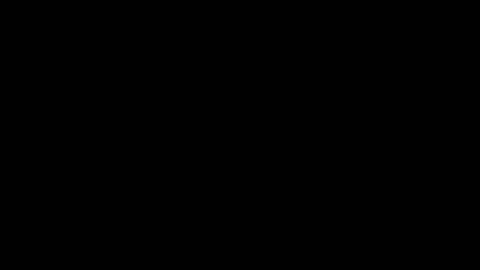 Diego online show from January 11, 8:21 pm