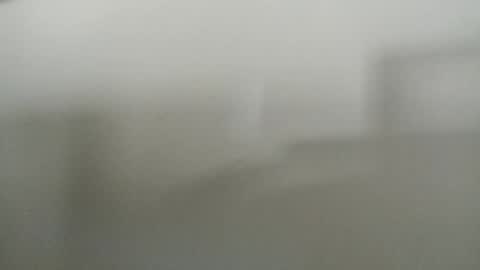 Diego online show from February 15, 1:16 pm