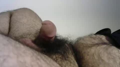 Bob online show from November 19, 4:34 am