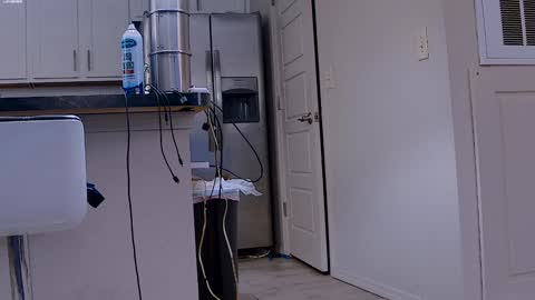 Dilldough405 online show from January 29, 6:07 pm