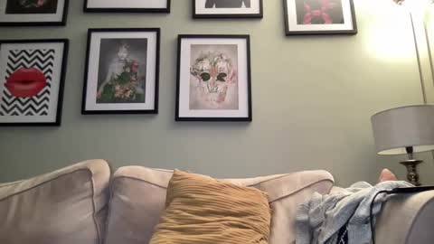 Dillon online show from February 9, 8:24 pm