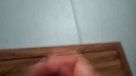 dingo_250 online show from October 7, 12:42 pm